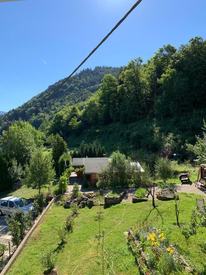 Chalet Rustique, 3Pieces, Jusqu'A 6 Personnes Urbès Exterior foto